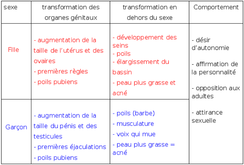 Transformation Puberté Fille 